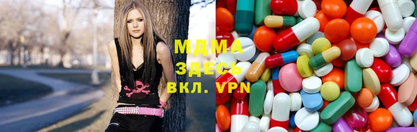 СК Алексин