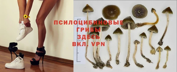 ПСИЛОЦИБИНОВЫЕ ГРИБЫ Алексеевка