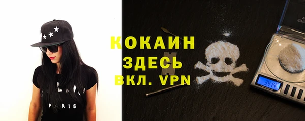 СК Алексин