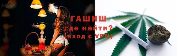 СК Алексин