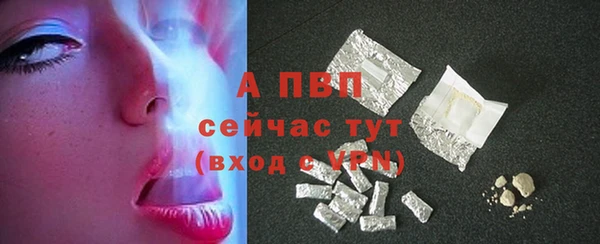 СК Алексин