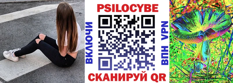 omg как зайти Ленинск-Кузнецкий Псилоцибиновые грибы Magic Shrooms