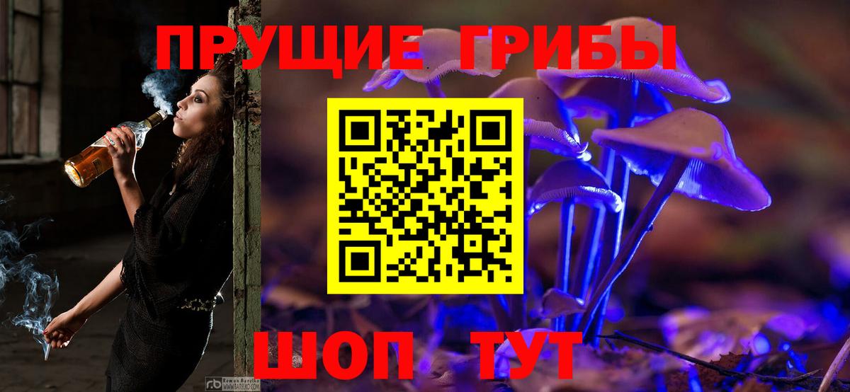 Псилоцибиновые грибы MAGIC MUSHROOMS  Вход с VPN  Галлюциногенные грибы Cubensis  купить наркотик  Ленинск-Кузнецкий 