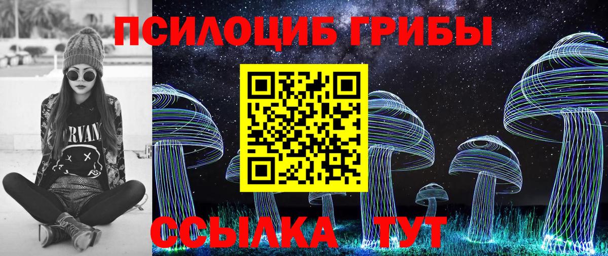Псилоцибиновые грибы Magic Shrooms Ленинск-Кузнецкий